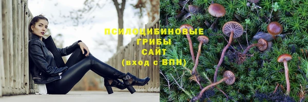 а пвп мука Аркадак