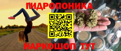 хмурый Кимры