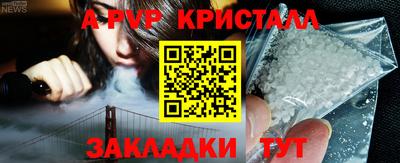 мяу мяу мука Кингисепп