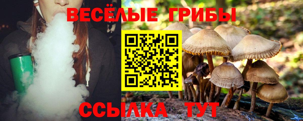 Псилоцибиновые грибы мицелий Семилуки