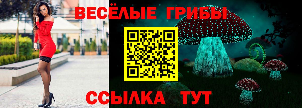 Галлюциногенные грибы MAGIC MUSHROOMS  Галлюциногенные грибы прущие грибы  Вход с VPN  Семилуки 